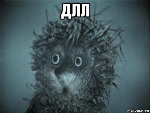 длл 