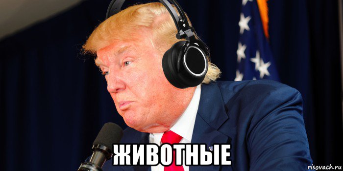  животные