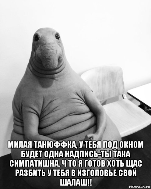  милая танюффка, у тебя под окном будет одна надпись-ты така симпатишна. ч то я готов хоть щас разбить у тебя в изголовье свой шалаш!!, Мем  Ждун