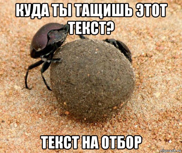 куда ты тащишь этот текст? текст на отбор