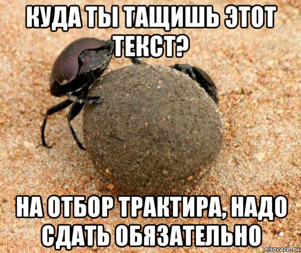 куда ты тащишь этот текст? на отбор трактира, надо сдать обязательно