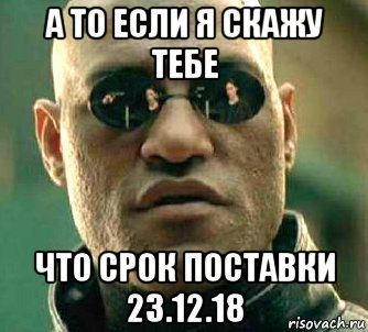 а то если я скажу тебе что срок поставки 23.12.18