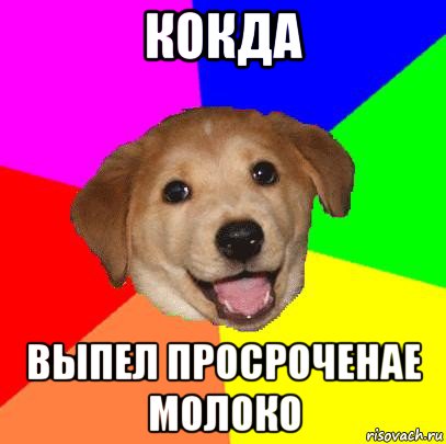 кокда выпел просроченае молоко, Мем Advice Dog