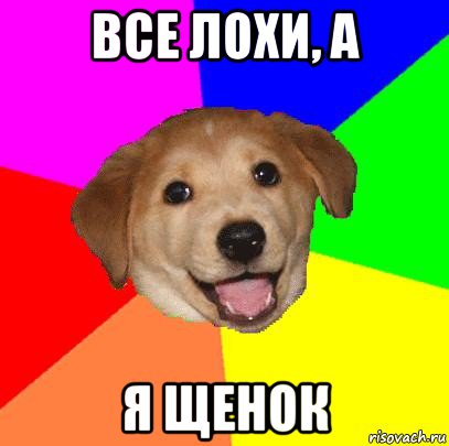 все лохи, а я щенок, Мем Advice Dog