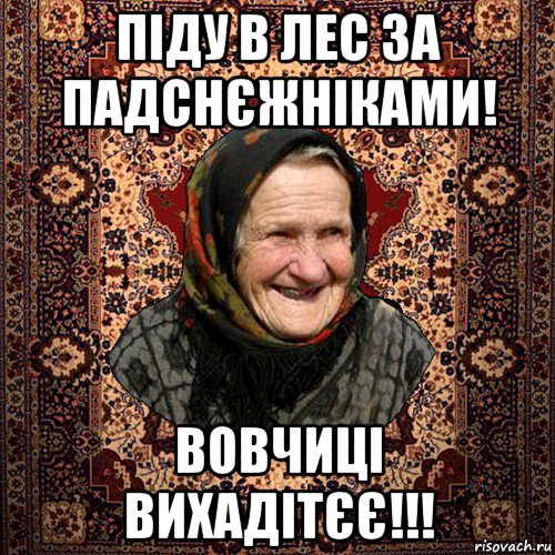піду в лес за падснєжніками! вовчиці вихадітєє!!!