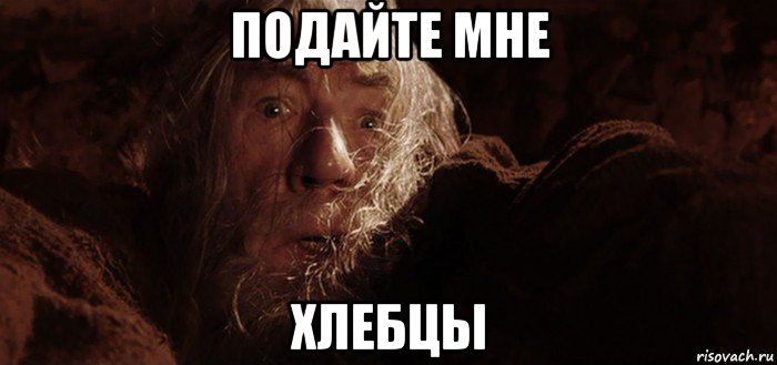 подайте мне хлебцы, Мем Бегите глупцы