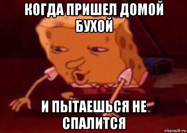 когда пришел домой бухой и пытаешься не спалится, Мем    Bettingmemes