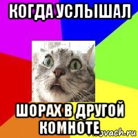 когда услышал шорах в другой комноте