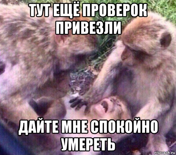 тут ещё проверок привезли дайте мне спокойно умереть