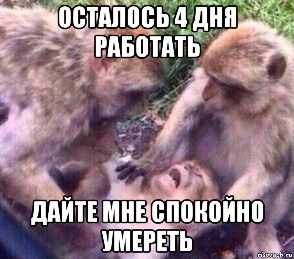осталось 4 дня работать дайте мне спокойно умереть