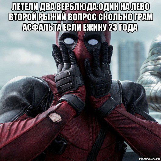 летели два верблюда:один на лево второй рыжий вопрос сколько грам асфальта если ежику 23 года , Мем     Дэдпул