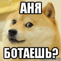 аня ботаешь?