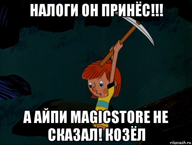 налоги он принёс!!! а айпи magicstore не сказал! козёл