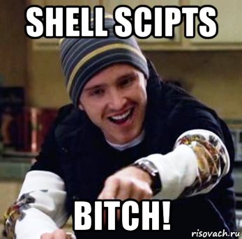 shell scipts bitch!