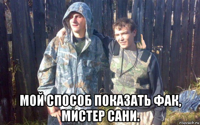  мой способ показать фак, мистер сани.