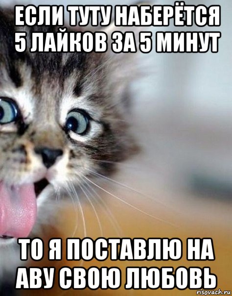если туту наберётся 5 лайков за 5 минут то я поставлю на аву свою любовь