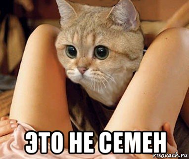  это не семен