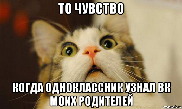 то чувство когда одноклассник узнал вк моих родителей