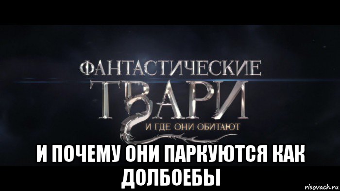  и почему они паркуются как долбоебы