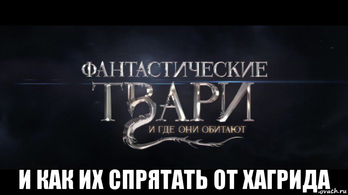  и как их спрятать от хагрида