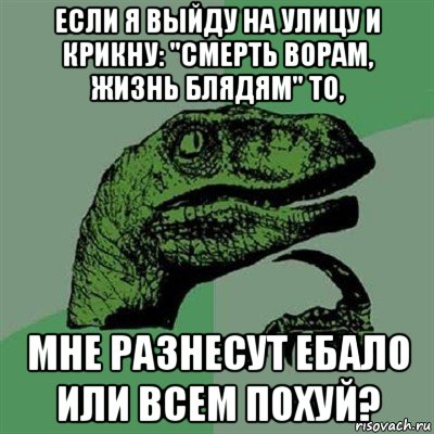 если я выйду на улицу и крикну: "смерть ворам, жизнь блядям" то, мне разнесут ебало или всем похуй?, Мем Филосораптор