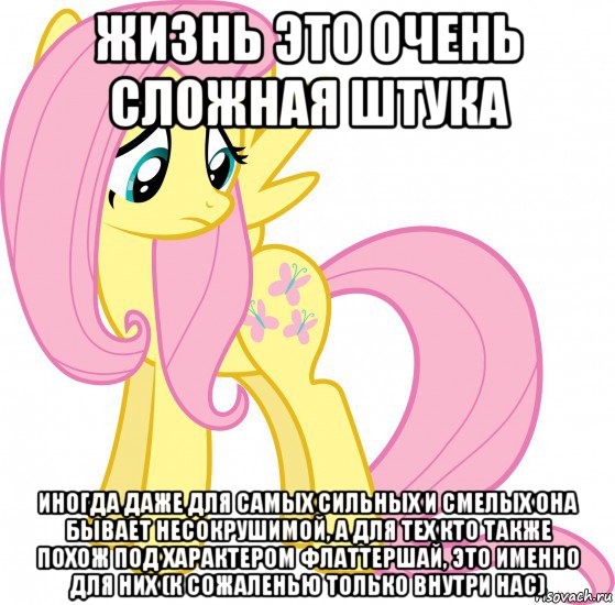 жизнь это очень сложная штука иногда даже для самых сильных и смелых она бывает несокрушимой, а для тех кто также похож под характером флаттершай, это именно для них (к сожаленью только внутри нас)