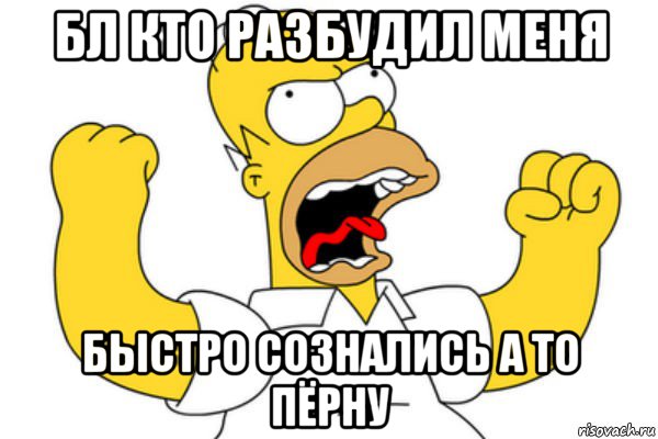 бл кто разбудил меня быстро сознались а то пёрну, Мем Разъяренный Гомер