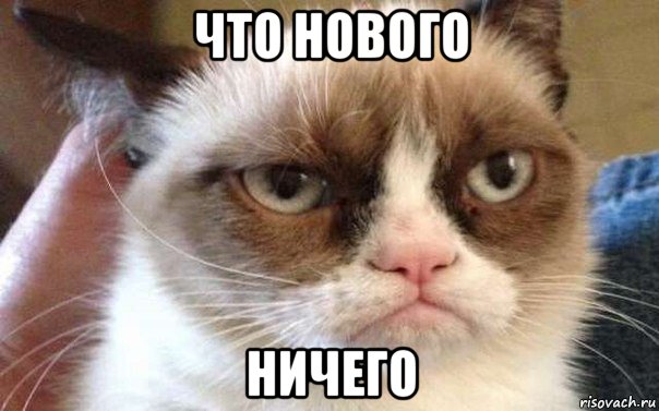 что нового ничего