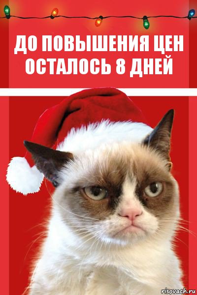 ДО ПОВЫШЕНИЯ ЦЕН ОСТАЛОСЬ 8 ДНЕЙ, Комикс  Grumpy cat new year