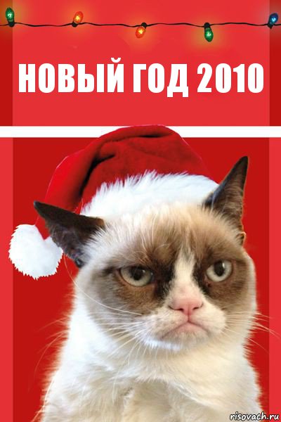 новый год 2010, Комикс  Grumpy cat new year