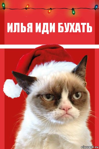 илья иди бухать, Комикс  Grumpy cat new year