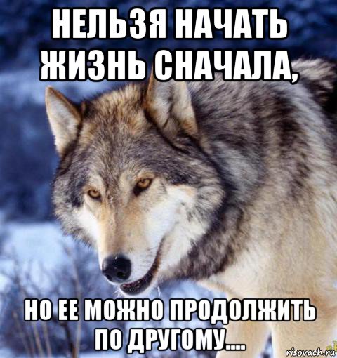 нельзя начать жизнь сначала, но ее можно продолжить по другому....