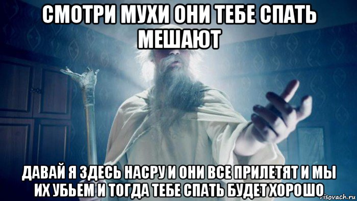 смотри мухи они тебе спать мешают давай я здесь насру и они все прилетят и мы их убьем и тогда тебе спать будет хорошо