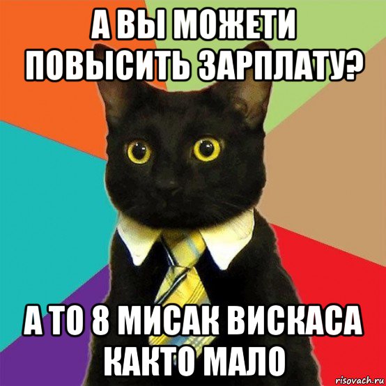 а вы можети повысить зарплату? а то 8 мисак вискаса както мало, Мем  Кошечка