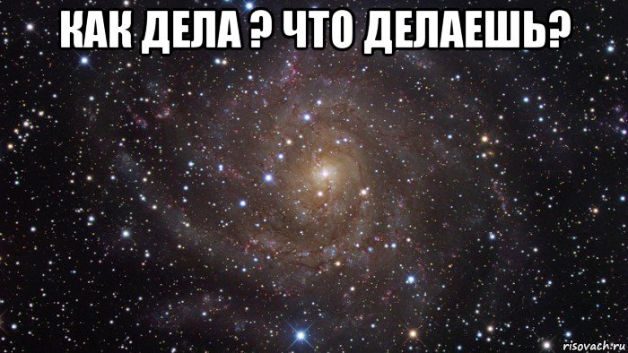 как дела ? что делаешь? 