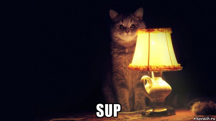  sup
