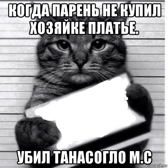 когда парень не купил хозяйке платье. убил танасогло м.с, Мем Кот с табличкой