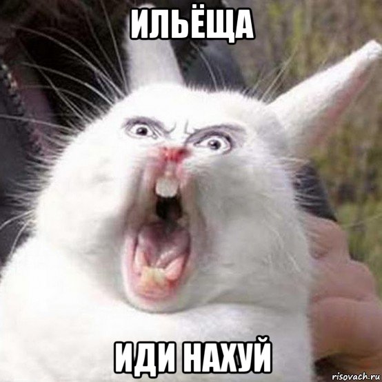ильёща иди нахуй