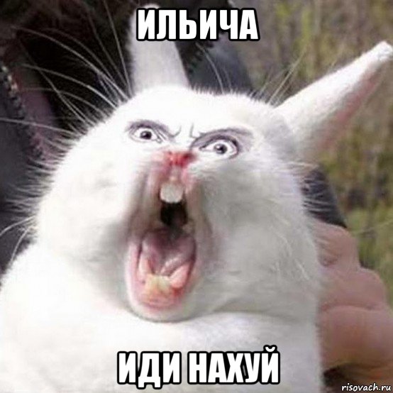 ильича иди нахуй