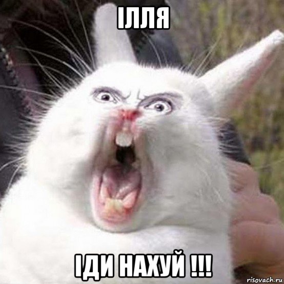 ілля іди нахуй !!!