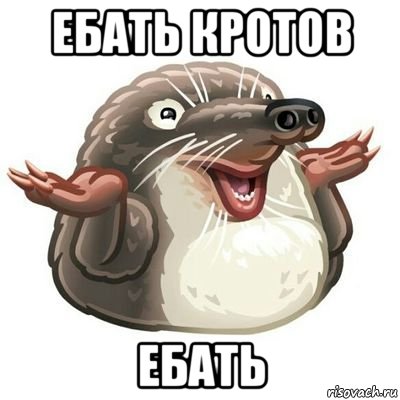 ебать кротов ебать, Мем Крот