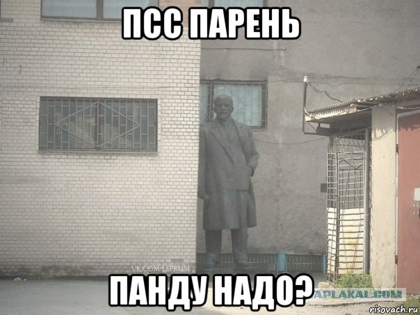 псс парень панду надо?