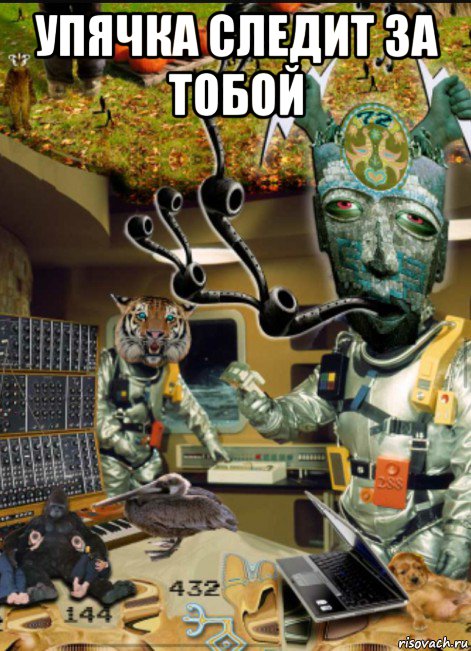 упячка следит за тобой 