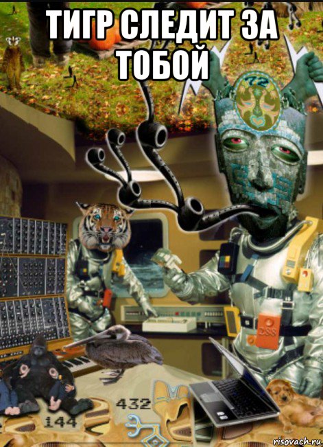 тигр следит за тобой 