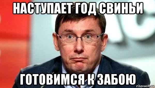наступает год свиньи готовимся к забою
