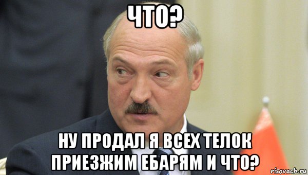 что? ну продал я всех телок приезжим ебарям и что?, Мем Лукашенко