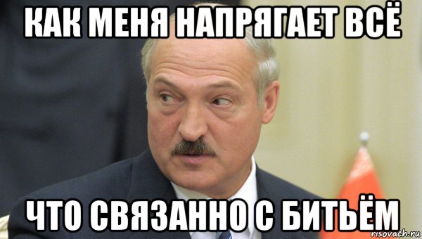 как меня напрягает всё что связанно с битьём, Мем Лукашенко