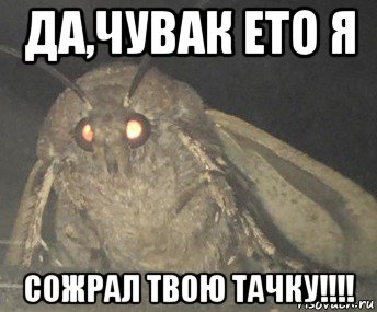 да,чувак ето я сожрал твою тачку!!!!, Мем Матылёк