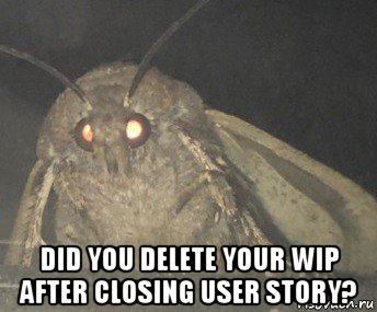  did you delete your wip after closing user story?, Мем Матылёк