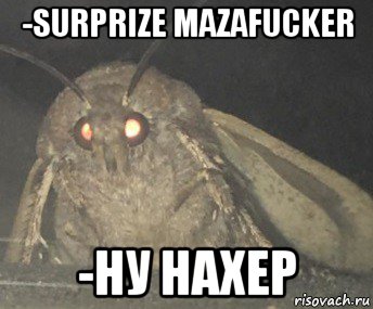 -surprize mazafucker -ну нахер, Мем Матылёк